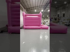 โพสเตอร์สีชมพู 1035